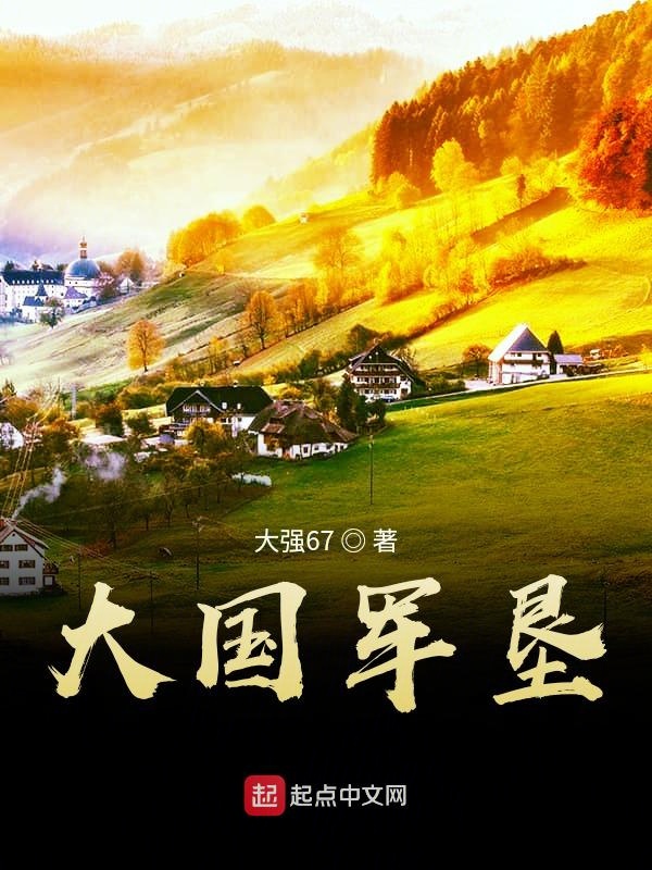 大国军工类的小说