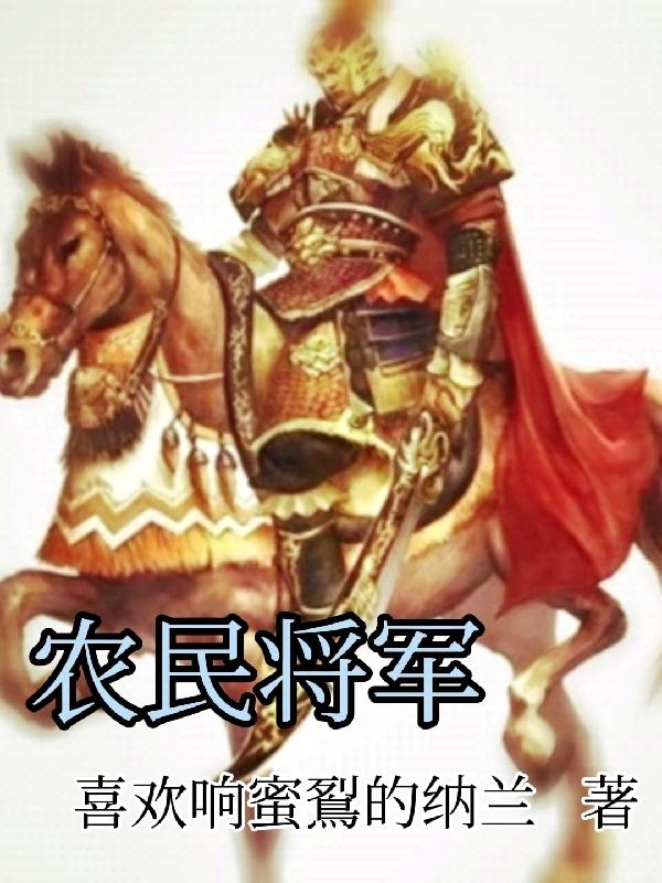 农民将军小说下载