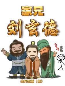 这个三国小说