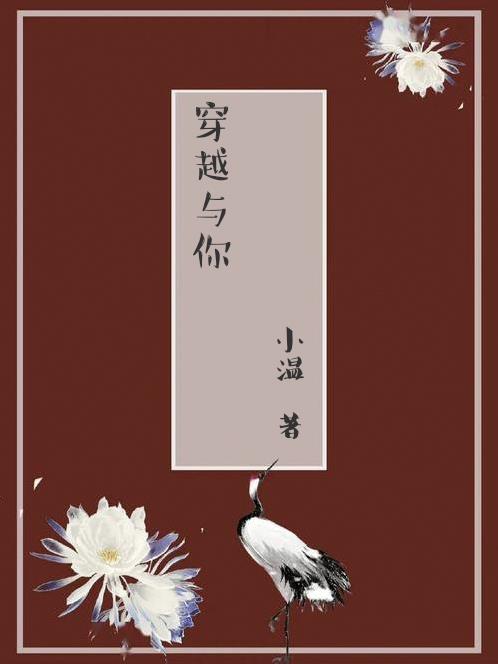 穿越与古人相遇作文