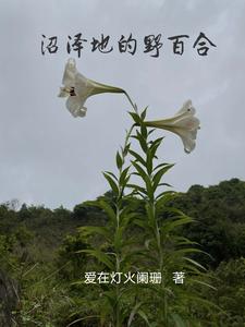 沼泽地的英文是什么