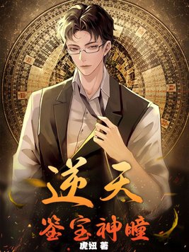 鉴宝神瞳小说