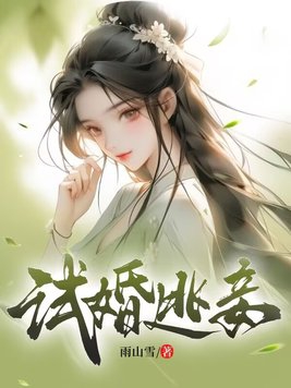 试婚小说