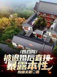四合院小说