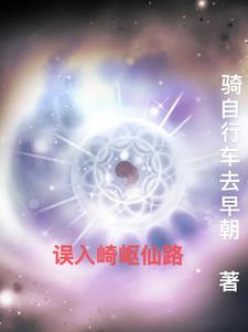误入崎途