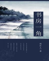 书房一层纱